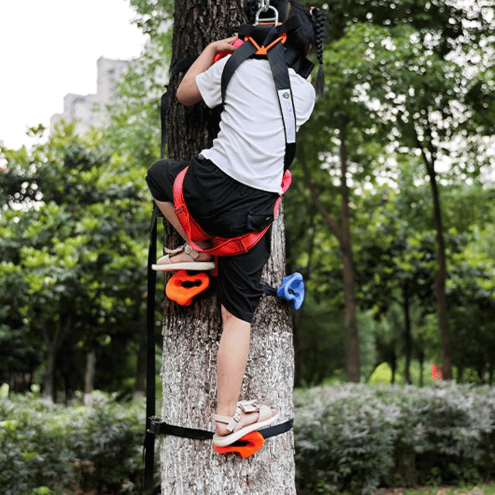 Backyard Rockclimbing Kit