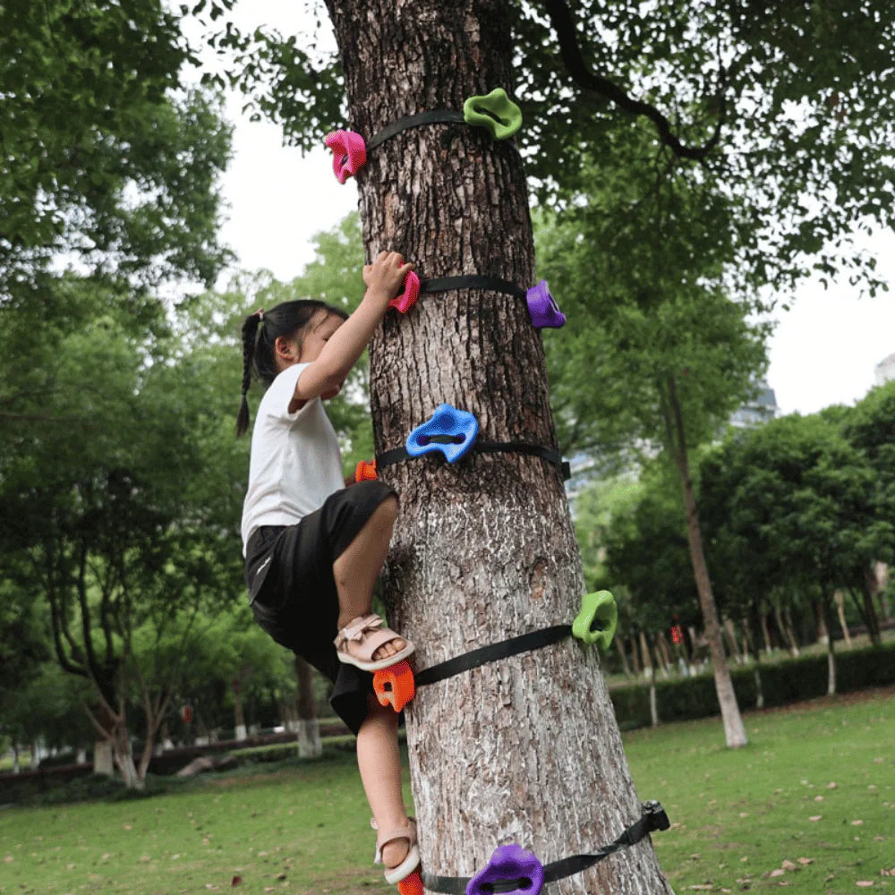 Backyard Rockclimbing Kit