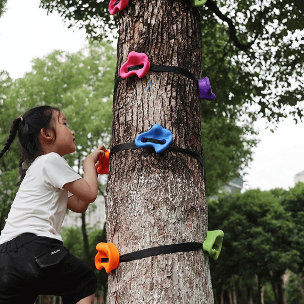 Backyard Rockclimbing Kit